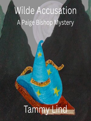 cover image of Wilde Accusation